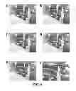 Fig. 07 - Three dimensional cell culture compositions and methods of use
