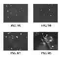 Fig. 10 - Three dimensional cell culture compositions and methods of use