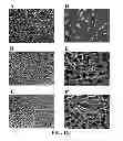 Fig. 13 - Three dimensional cell culture compositions and methods of use