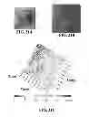 Fig. 22 - Three dimensional cell culture compositions and methods of use