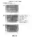 Fig. 25 - Three dimensional cell culture compositions and methods of use