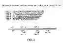 Fig. 04 - URA5 GENE AND METHODS FOR STABLE GENETIC INTEGRATION IN YEAST