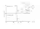Fig. 13 - Synchronization of ion generation with cycling of a discontinuous atmospheric interface