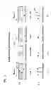 Fig. 11 - Pipetting apparatus, pipetting container and method for the production thereof