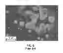 Fig. 04 - SILICON SURFACE TEXTURING METHOD FOR REDUCING SURFACE REFLECTANCE