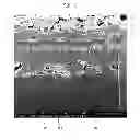 Fig. 07 - Semiconductor Ink Composition