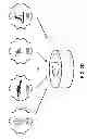 Fig. 06 - METHOD AND SYSTEM OF MANAGING A GAME SESSION