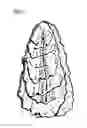 Fig. 02 - Cryo-shucking of oysters