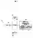 Fig. 02 - Mobile communication terminal having password notify function and method for notifying password in mobile communication terminal