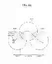 Fig. 16 - Method and wireless apparatus for performing a minimization drive test