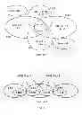 Fig. 03 - Method and apparatus for accessing legacy networks through temporary ID of evolved network