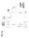 Fig. 05 - Method, apparatus, and computer program product for transferring responsibility between network controllers managing coexistence in radio frequency spectrum