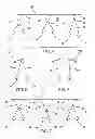 Fig. 06 - EXERCISE ASSEMBLY