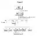 Fig. 02 - bioactive compositions and metabolites
