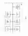 Fig. 04 - Sequencing Small Amounts of Complex Nucleic Acids