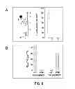 Fig. 09 - Peptide constructs and assay systems