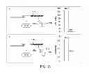 Fig. 14 - Peptide constructs and assay systems