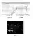 Fig. 03 - Compositions and methods for detection of herpes simplex virus 1 and 2