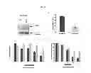 Fig. 11 - Molecular diagnostic test for cancer