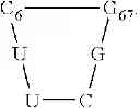 Fig. 14 - PROTEIN SYNTHESIS MODULATORS