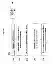Fig. 03 - Methods and compositions for determining nucleic acid degradation