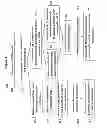 Fig. 05 - Methods and compositions for determining nucleic acid degradation