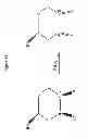 Fig. 12 - Methods and compositions for determining nucleic acid degradation