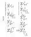 Fig. 14 - Methods and compositions for determining nucleic acid degradation