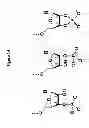Fig. 15 - Methods and compositions for determining nucleic acid degradation