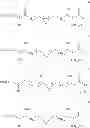 Fig. 03 - Method for determining exposure to mycobacteria