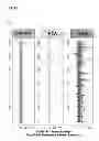 Fig. 05 - METABOLOMIC PROFILING OF CANCER