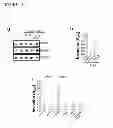 Fig. 16 - METABOLOMIC PROFILING OF CANCER