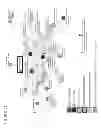 Fig. 40 - METABOLOMIC PROFILING OF CANCER