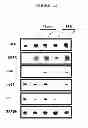 Fig. 41 - METABOLOMIC PROFILING OF CANCER