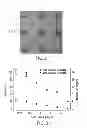 Fig. 03 - DETECTING ANALYTES USING LIPID MULTILAYER GRATINGS WITH ION CHANNELS