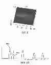 Fig. 07 - DETECTING ANALYTES USING LIPID MULTILAYER GRATINGS WITH ION CHANNELS