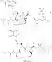 Fig. 360 - Antiviral compounds
