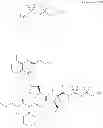 Fig. 424 - Antiviral compounds