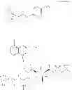 Fig. 438 - Antiviral compounds