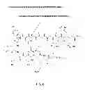 Fig. 07 - Composition for long-acting peptide analogs