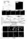 Fig. 02 - Biologically active complex and its preparation