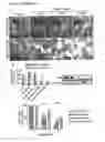 Fig. 07 - Biologically active complex and its preparation