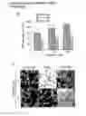 Fig. 16 - Biologically active complex and its preparation