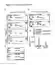 Fig. 19 - Biologically active complex and its preparation