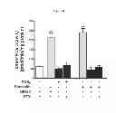 Fig. 09 - Compositions and Methods which modulate G-Protein Signaling for the Treatment of Inflammatory Disorders such as Asthma and Allergic Conjunctivitis