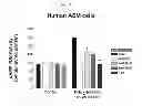 Fig. 19 - Compositions and Methods which modulate G-Protein Signaling for the Treatment of Inflammatory Disorders such as Asthma and Allergic Conjunctivitis
