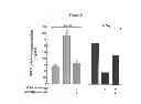 Fig. 25 - Compositions and Methods which modulate G-Protein Signaling for the Treatment of Inflammatory Disorders such as Asthma and Allergic Conjunctivitis