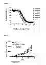 Fig. 06 - Muteins of human lipocalin 2 with affinity for CTLA-4