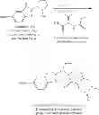 Fig. 732 - Antiviral compounds