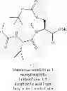 Fig. 744 - Antiviral compounds